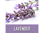 Lavender | A strong floral scent and intensely botanical underlying its sweetness.