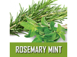 Rosemary Mint | Rosemary needles with crushed spearmint leaves combine into an herbal lover's fantasy!